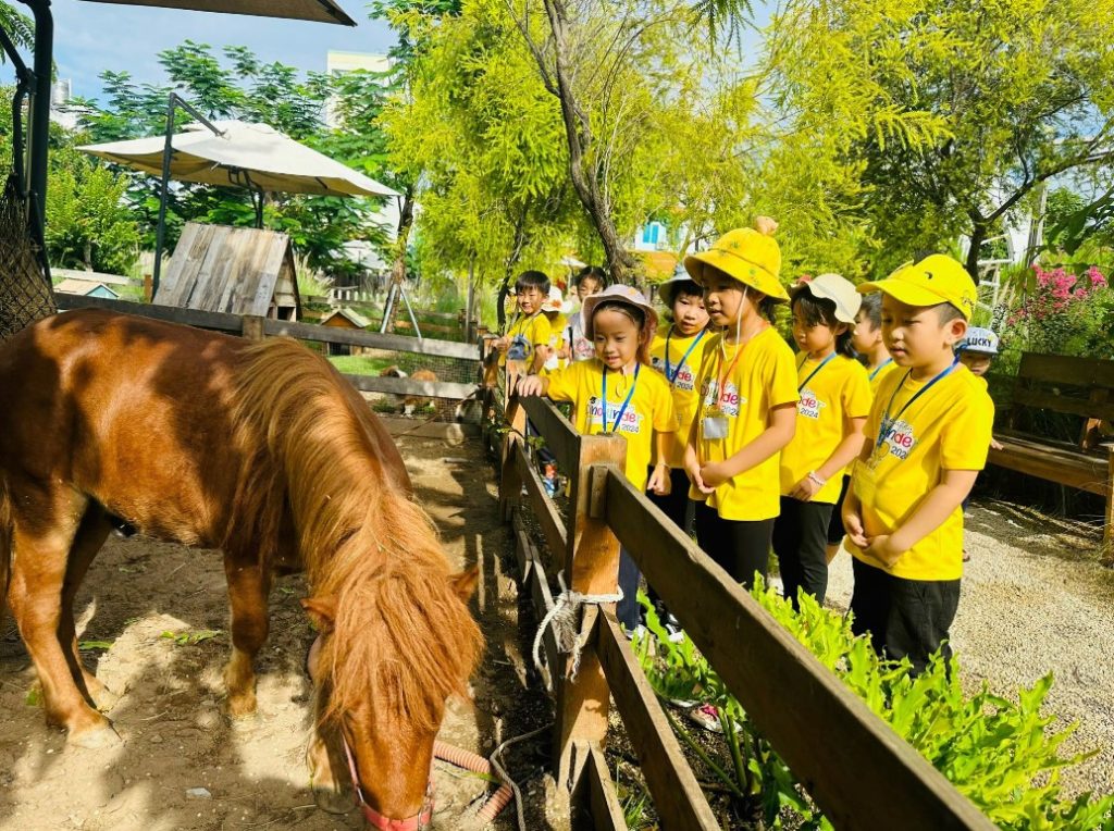 Phát triển nhận thức