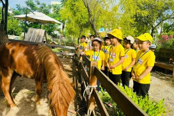 Phát triển nhận thức